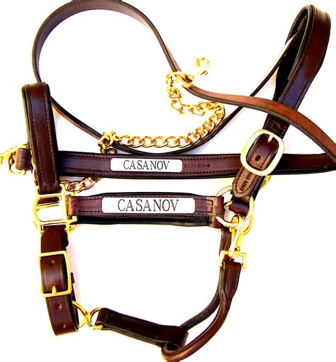 leather halter with name plate.